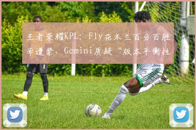 王者荣耀KPL：Fly花木兰百分百胜率遭禁，Gemini质疑“版本平衡性针对”